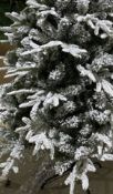 10 x 6FT Christmas Tree Artificial with Snow Frosted Mixed Pile Branches