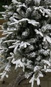 1 x 6FT Christmas Tree Artificial with Snow Frosted Mixed Pile Branches
