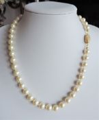 18 Inch Single Strand Pearl Necklace