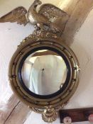 Genuine Antique Regency Large Giltwood Convex Wall Mirror Eagle