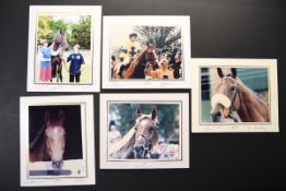 Horse racing photos with Jockey, Trainer & Owner original signatures.