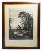 Large Edwardian Landscape Engraving Set in Mahogany Frame