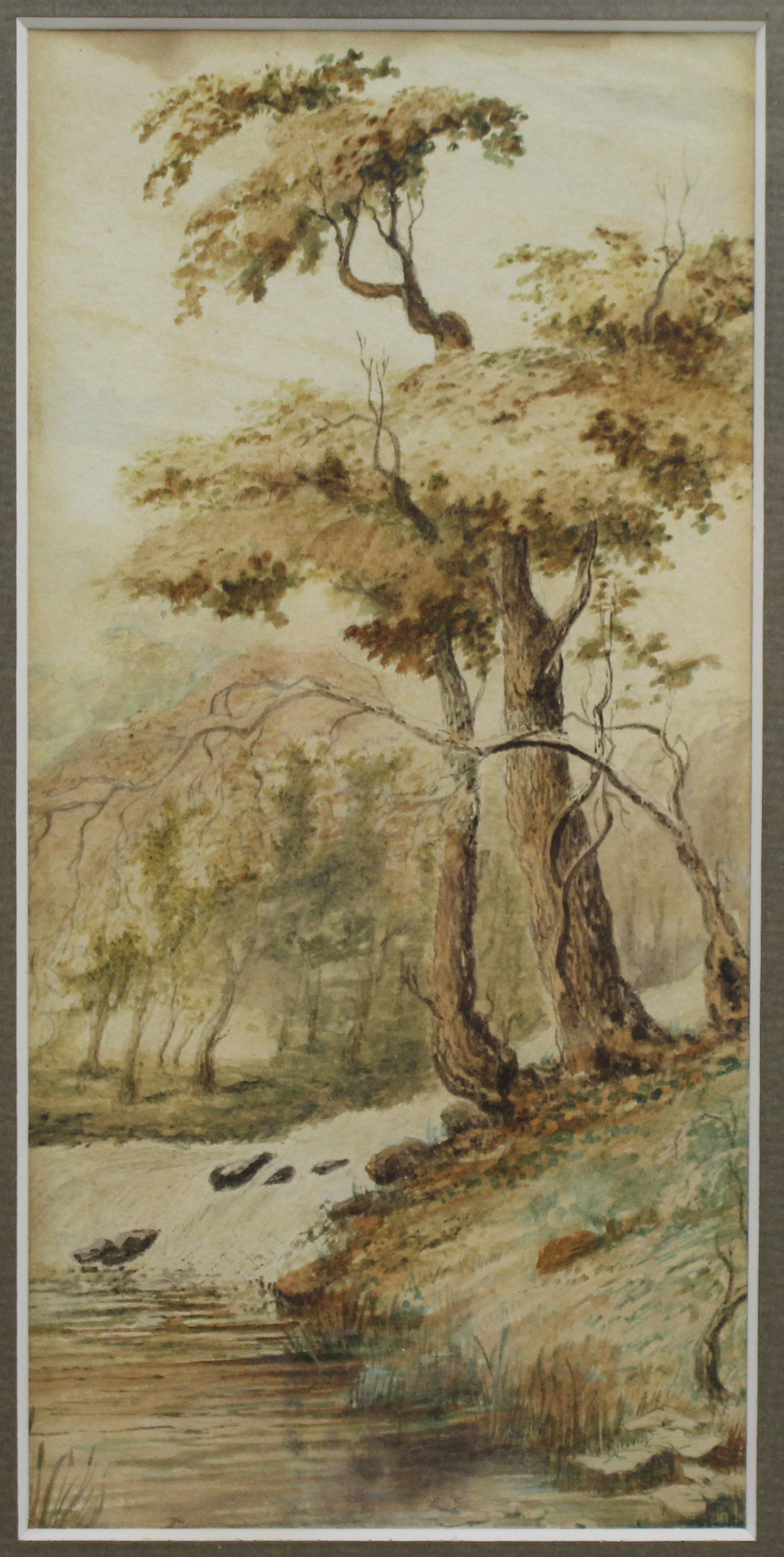 Early 20th c. Watercolour Tree by River Bank