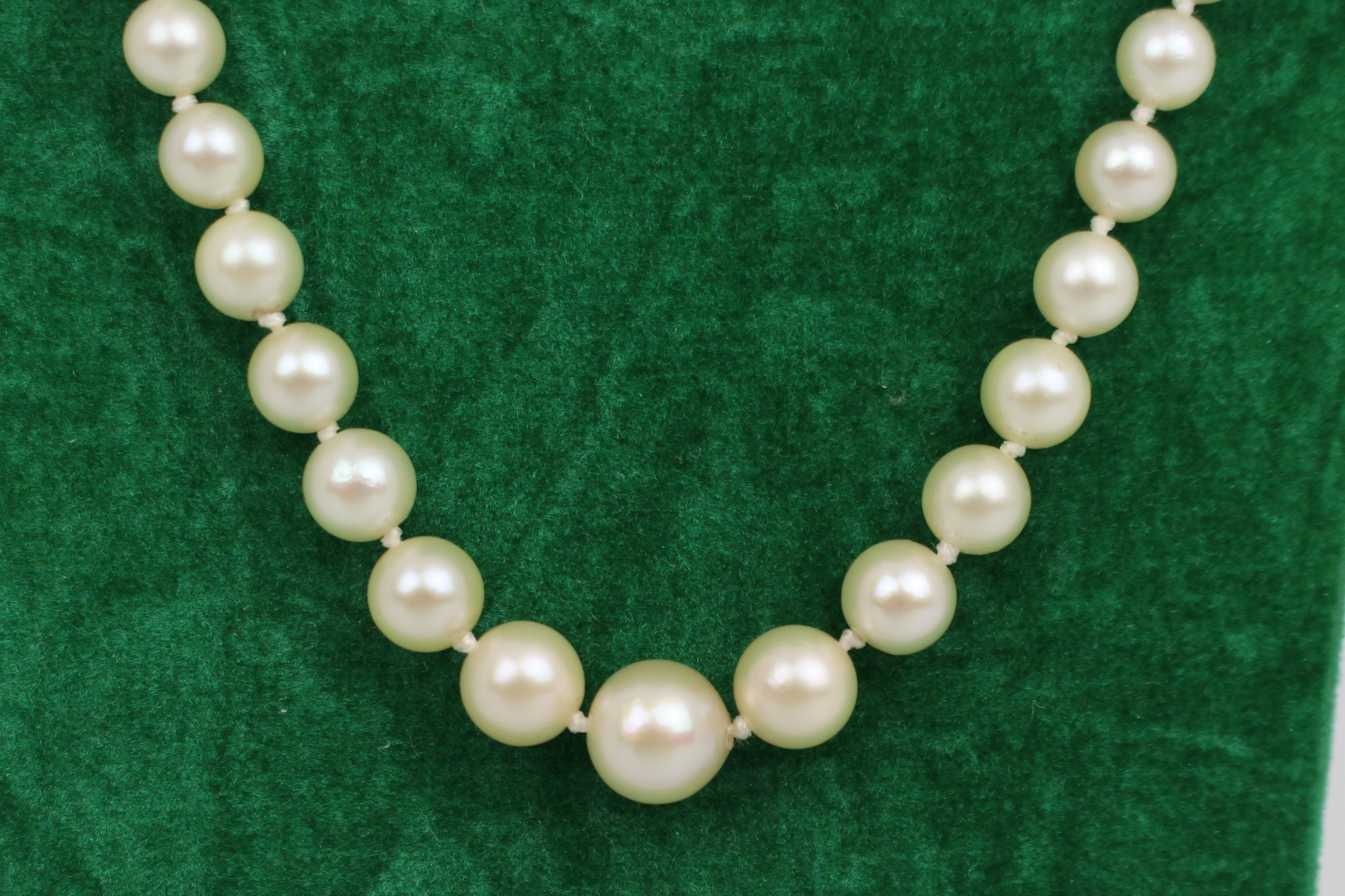 Graduated Pearl Necklace with Gold Clasp - Image 2 of 7