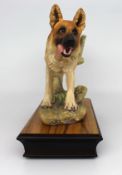 Albany Canine Series Alsatian (G.S.D.) Sculpture