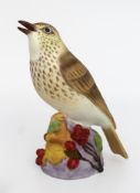 Royal Worcester Thrush