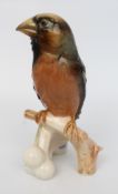 Goebel Porcelain Bird Model Hawfinch