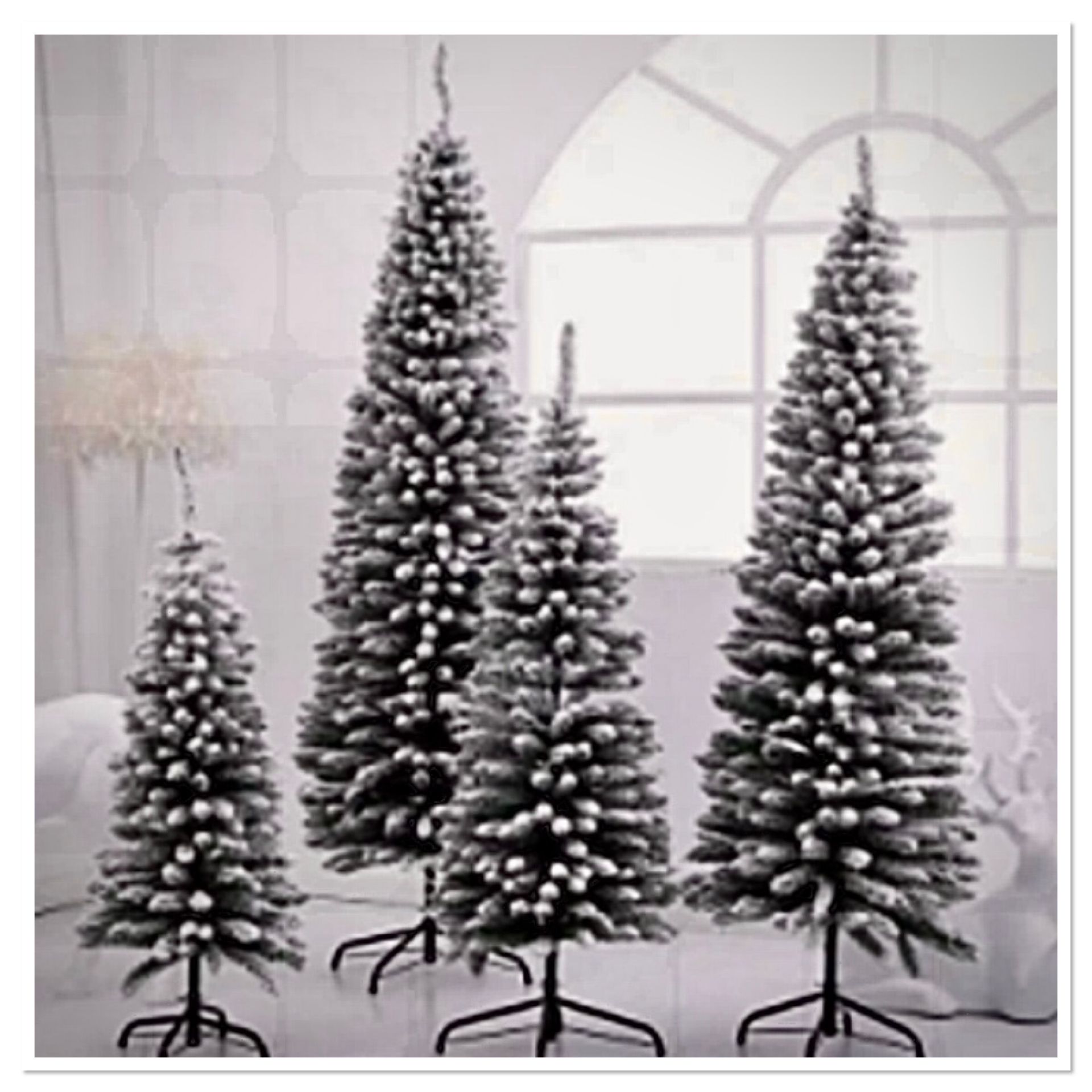 10 x Christmas Tree Artificial with Snow Frosted Tips Slim Pencil Shape 5FT