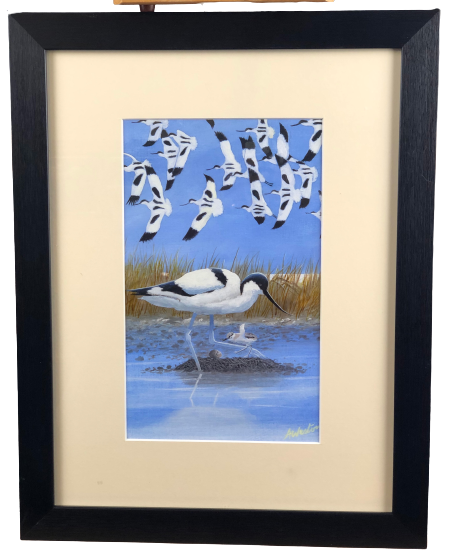 " Avocet"