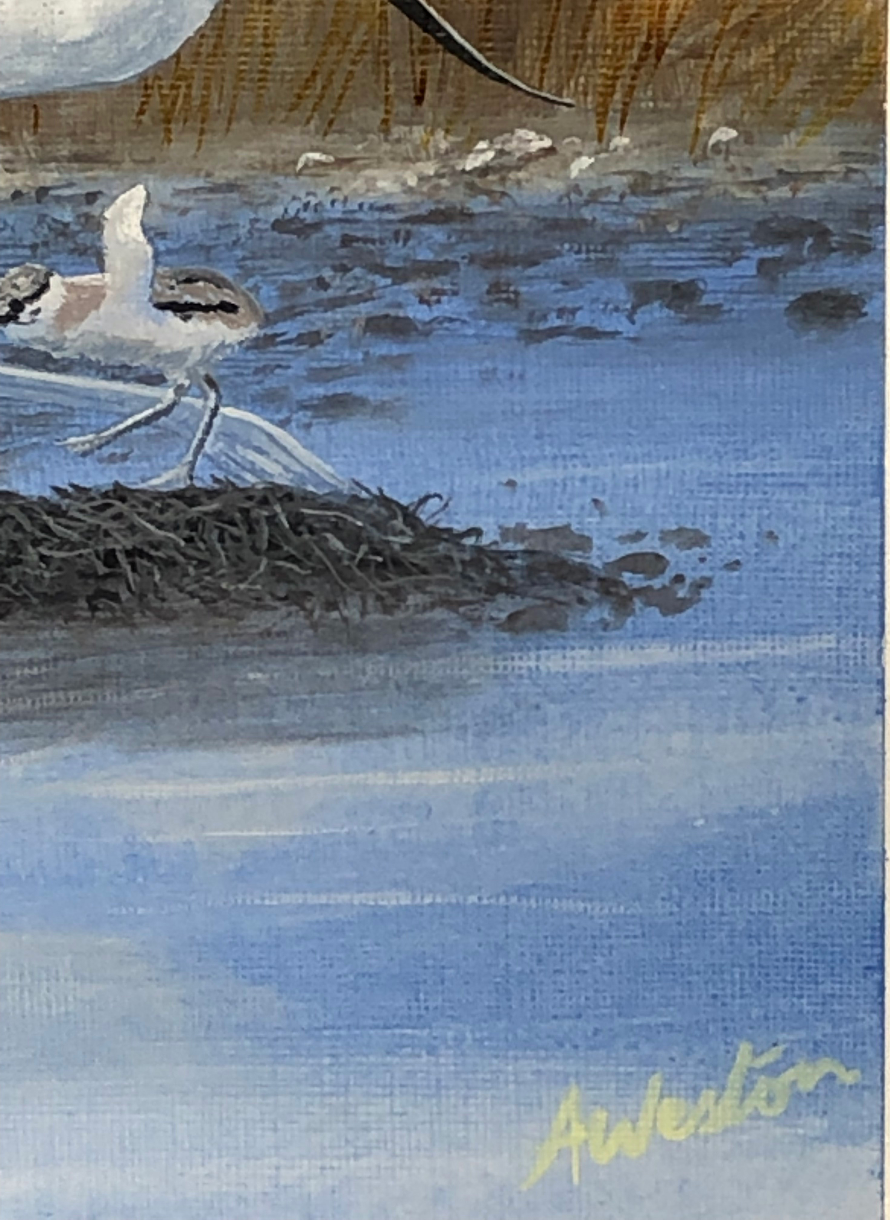 " Avocet" - Image 4 of 9