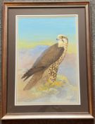Ralston Gudgeon Scottish artist, signed watercolour "Hawk "