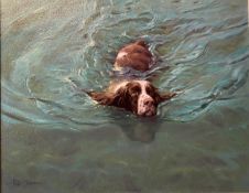 Peter Munro Scottish contemporary artist oil painting of a swimming Spaniel dog.