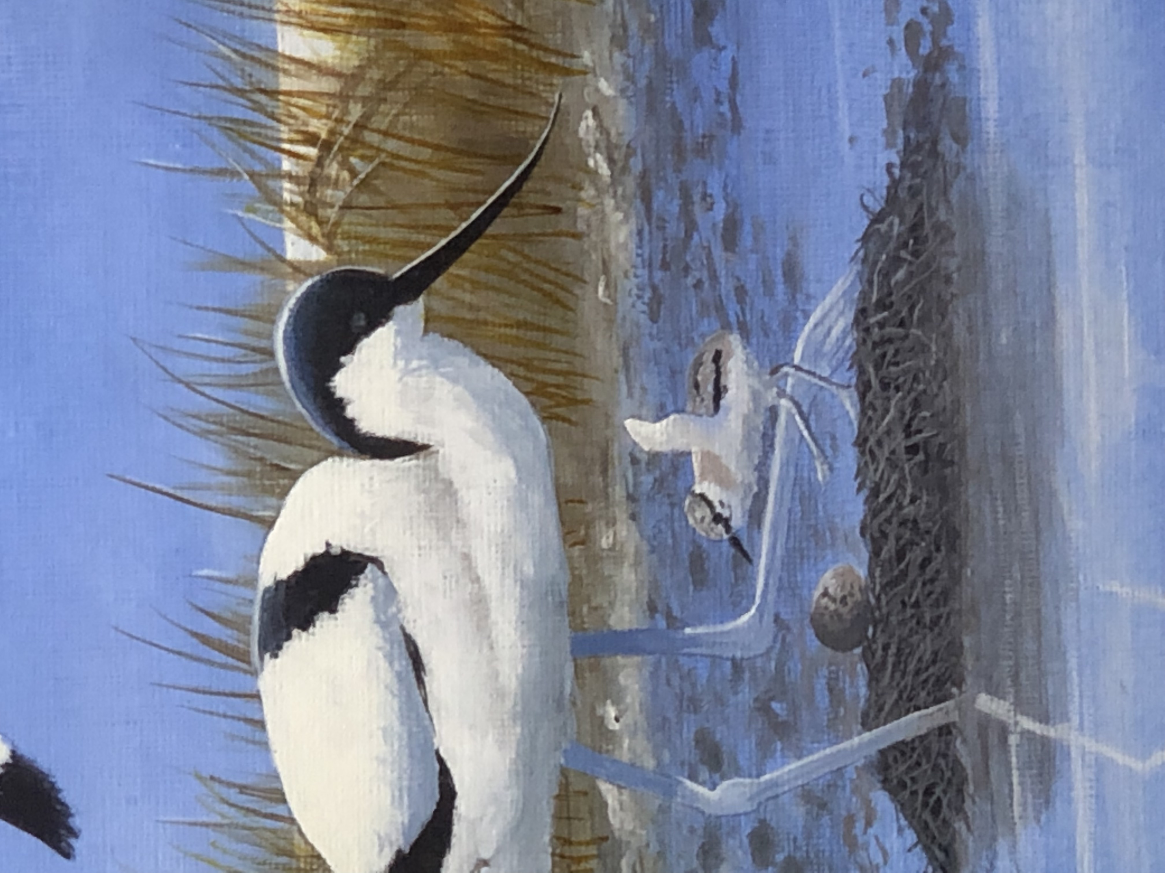 " Avocet" - Image 7 of 9