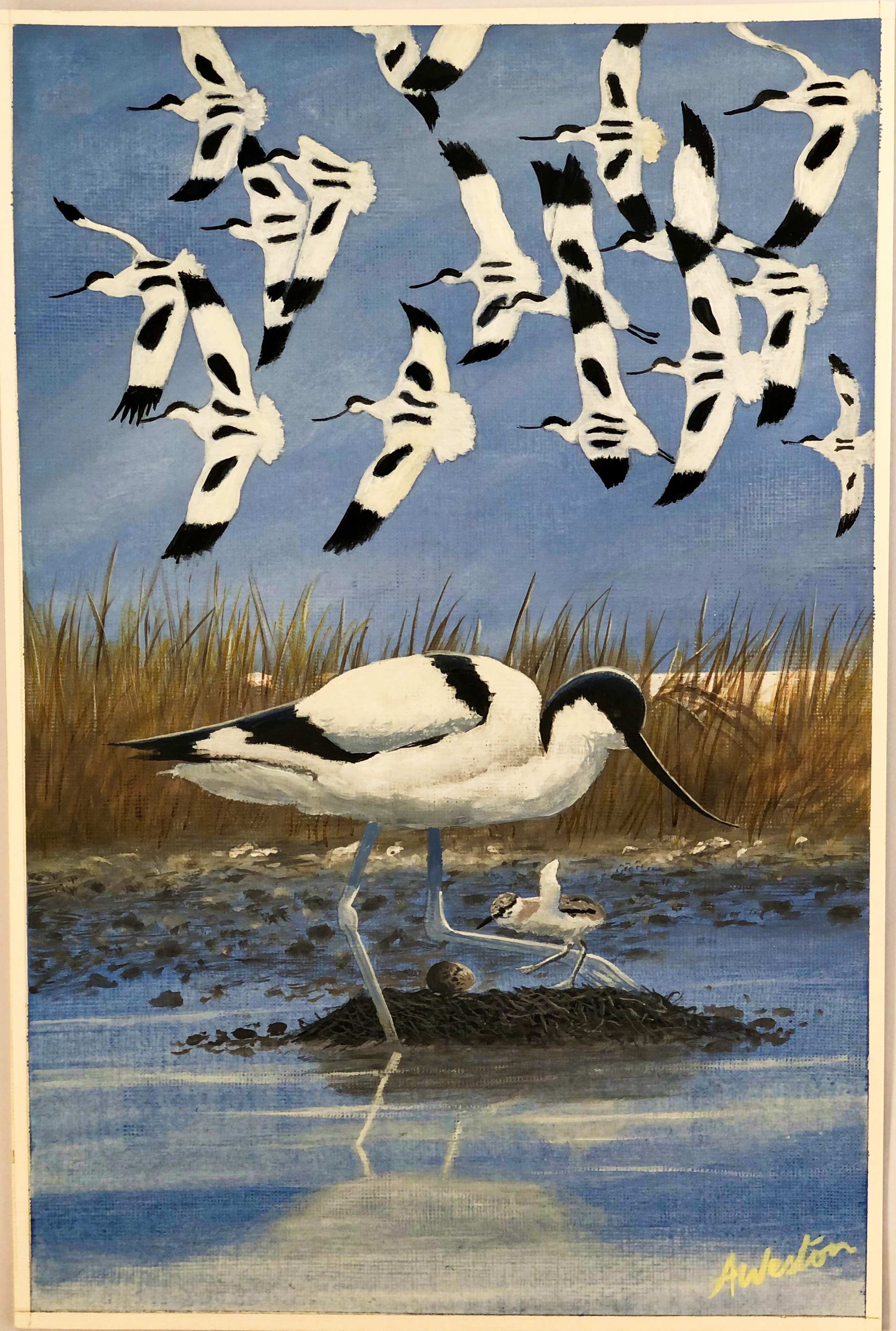 " Avocet" - Image 2 of 9