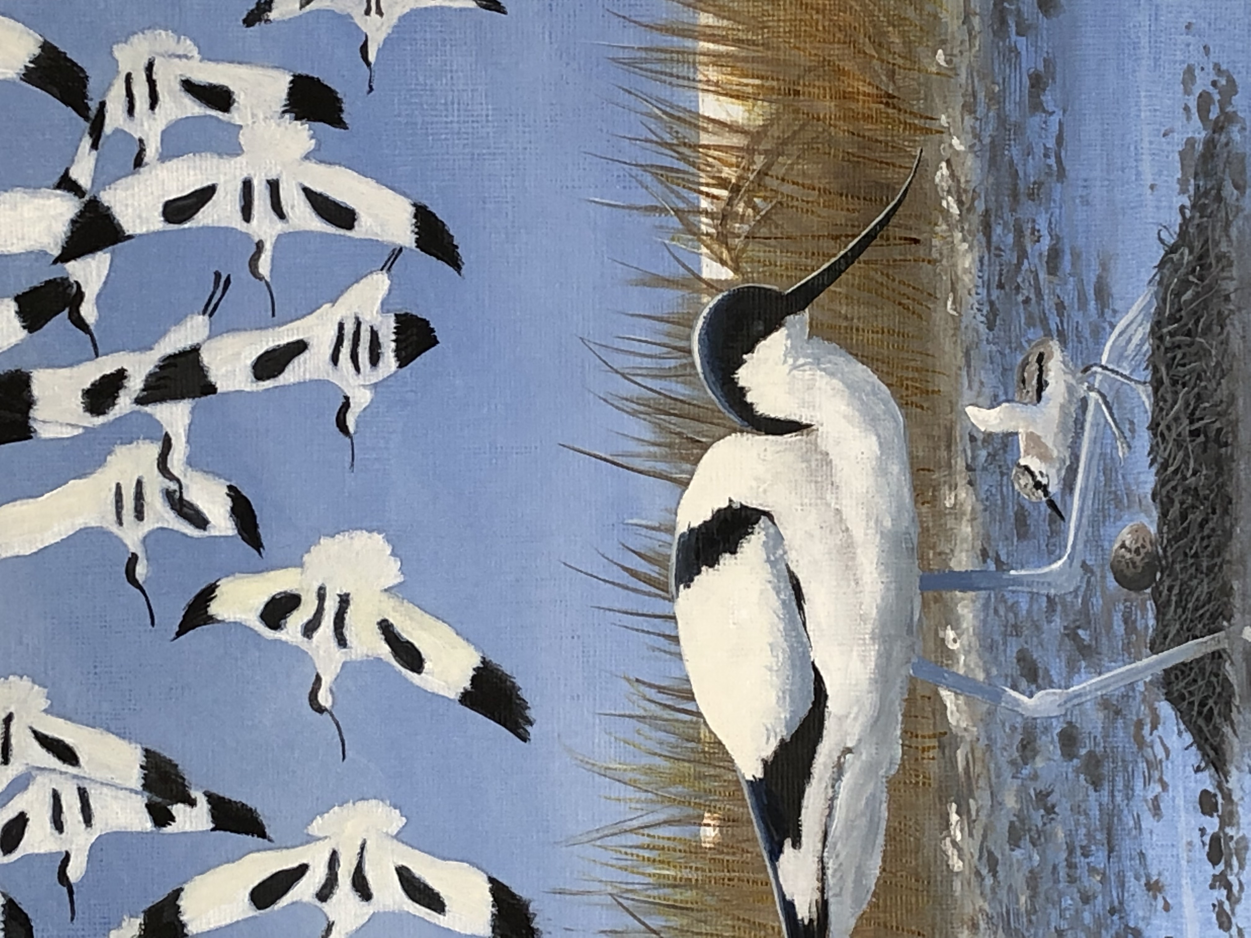 " Avocet" - Image 3 of 9