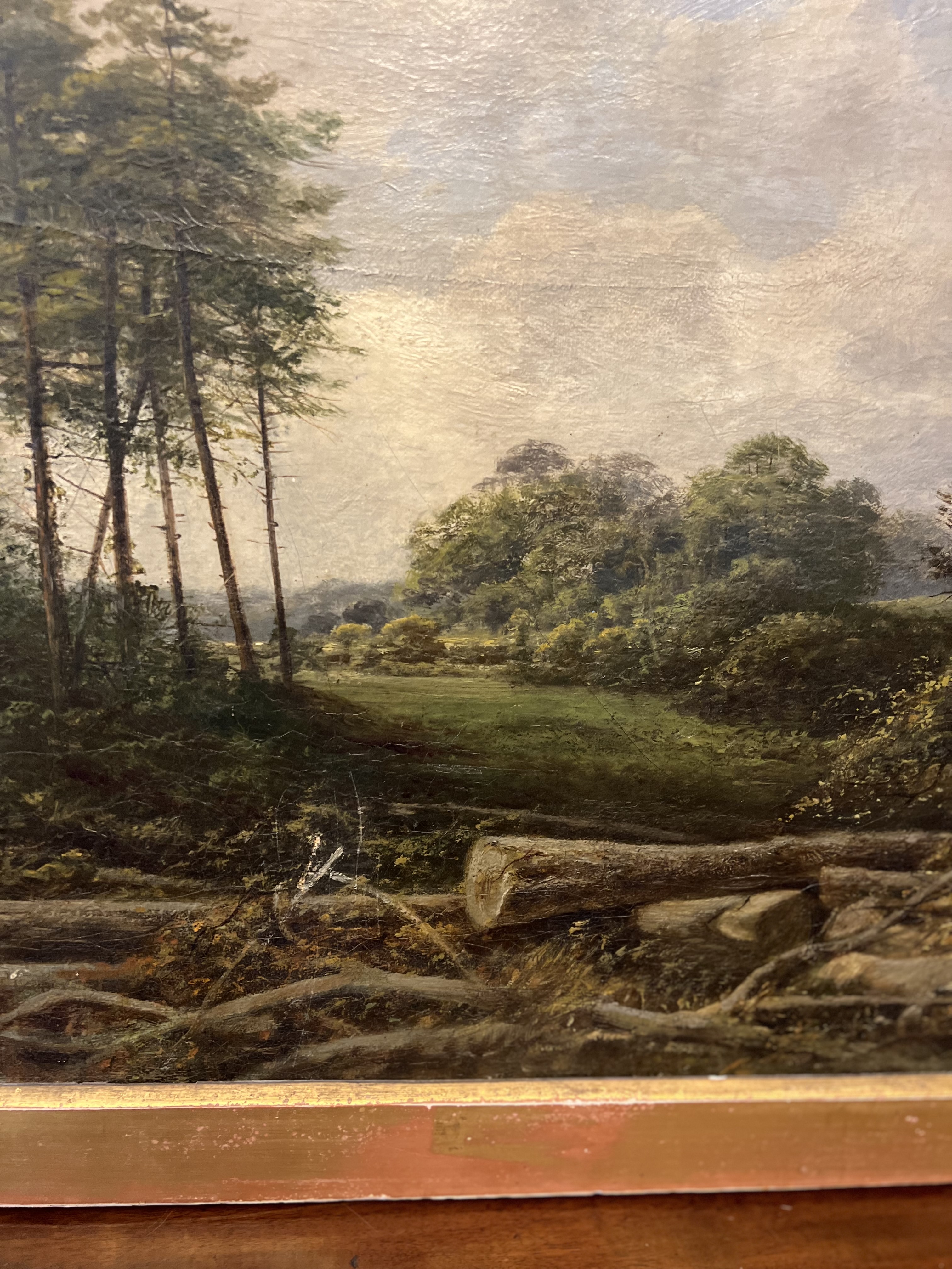 C19th Oil on Canvas of a Forest Clearing - Image 8 of 8
