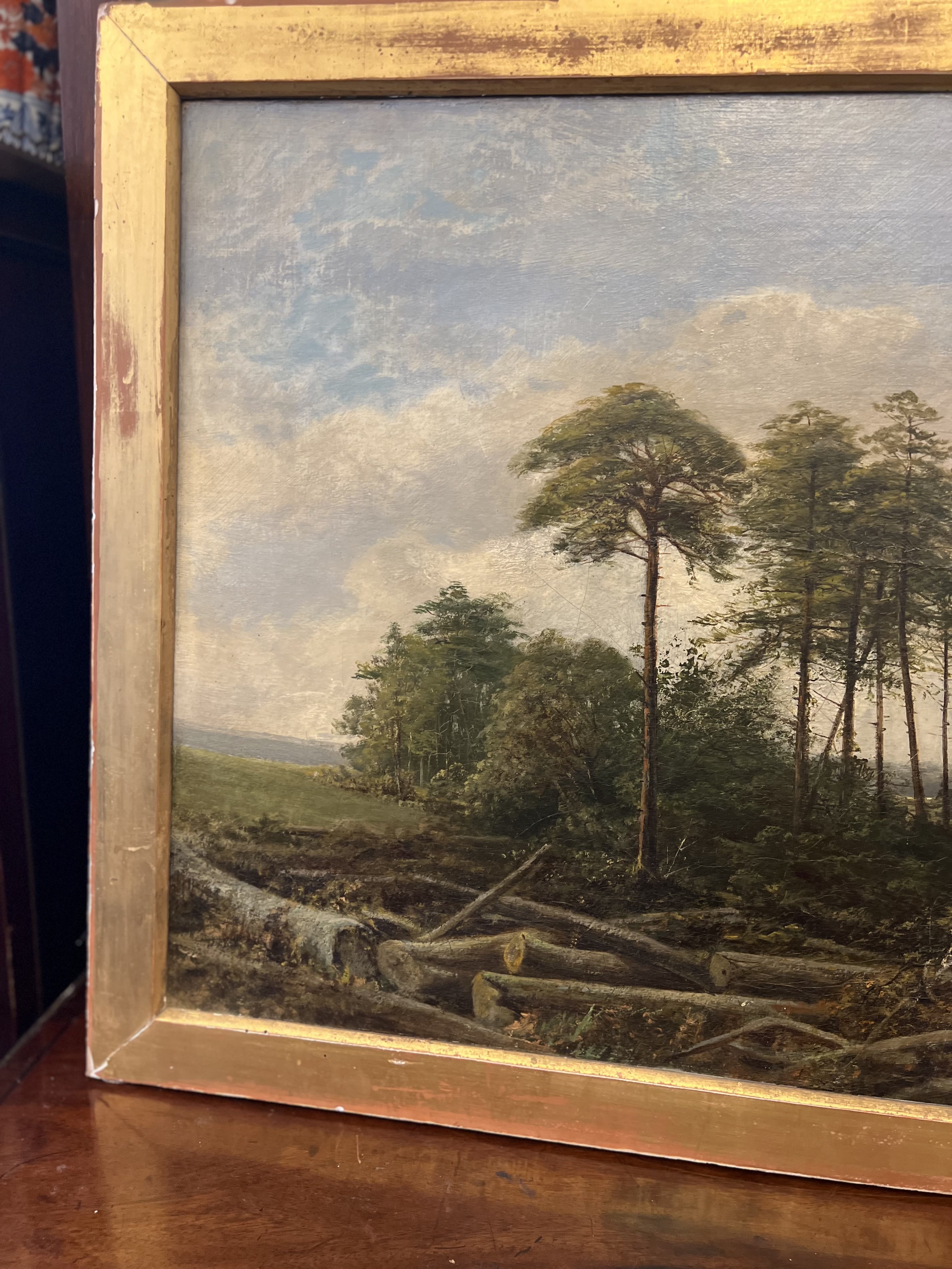 C19th Oil on Canvas of a Forest Clearing - Image 3 of 8