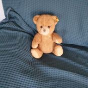 Antique Steiff Bear c 1950s-60s