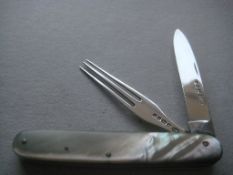 Rare Victorian Mother Of Pearl Hafted Slotting Knife And Fork