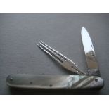 Rare Victorian Mother Of Pearl Hafted Slotting Knife And Fork