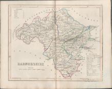 Radnorshire Historic County of Wales 1850 Antique Map.