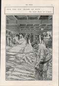 Grimsby Market Fresh Fish For Lent 1902 Antique Print.