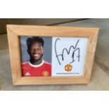 Signed framed image of 'Fred' playing for Manchester United Football Club with COA