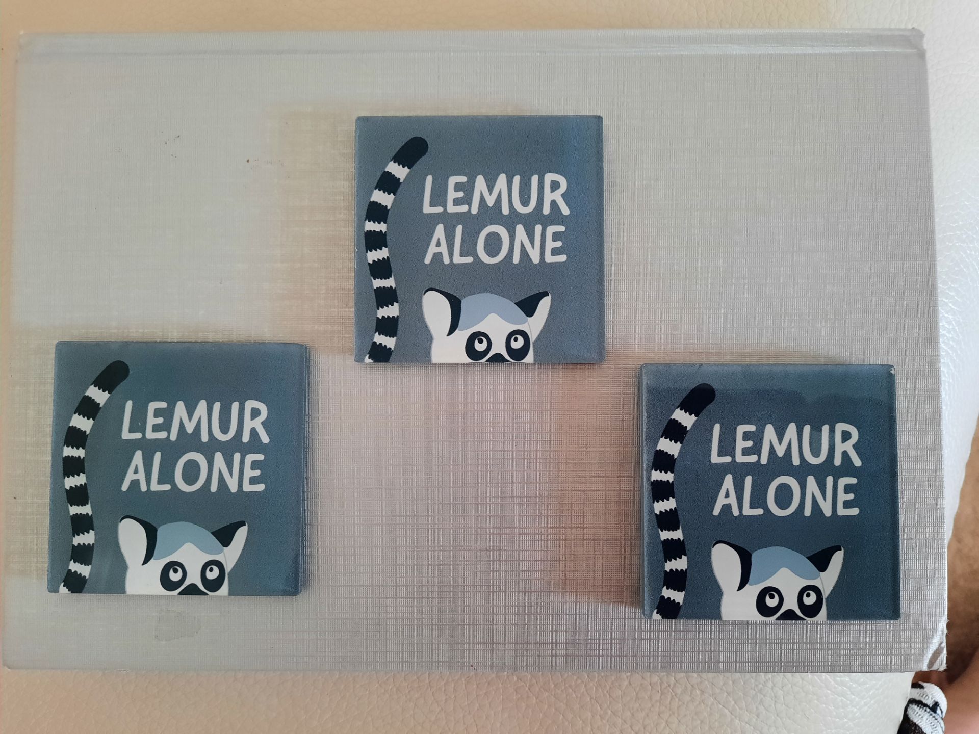 Lemur Fridge Magnets x 12