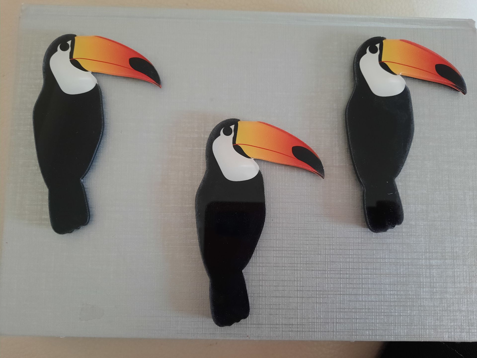 Toucan Fridge Magnets x 12