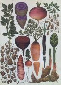 Beautiful Botanical English Prints Set In A Glazed Wooden Frame