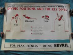 1950's Amateur Swimming Association advertising poster - publisher - Bovril Ltd.
