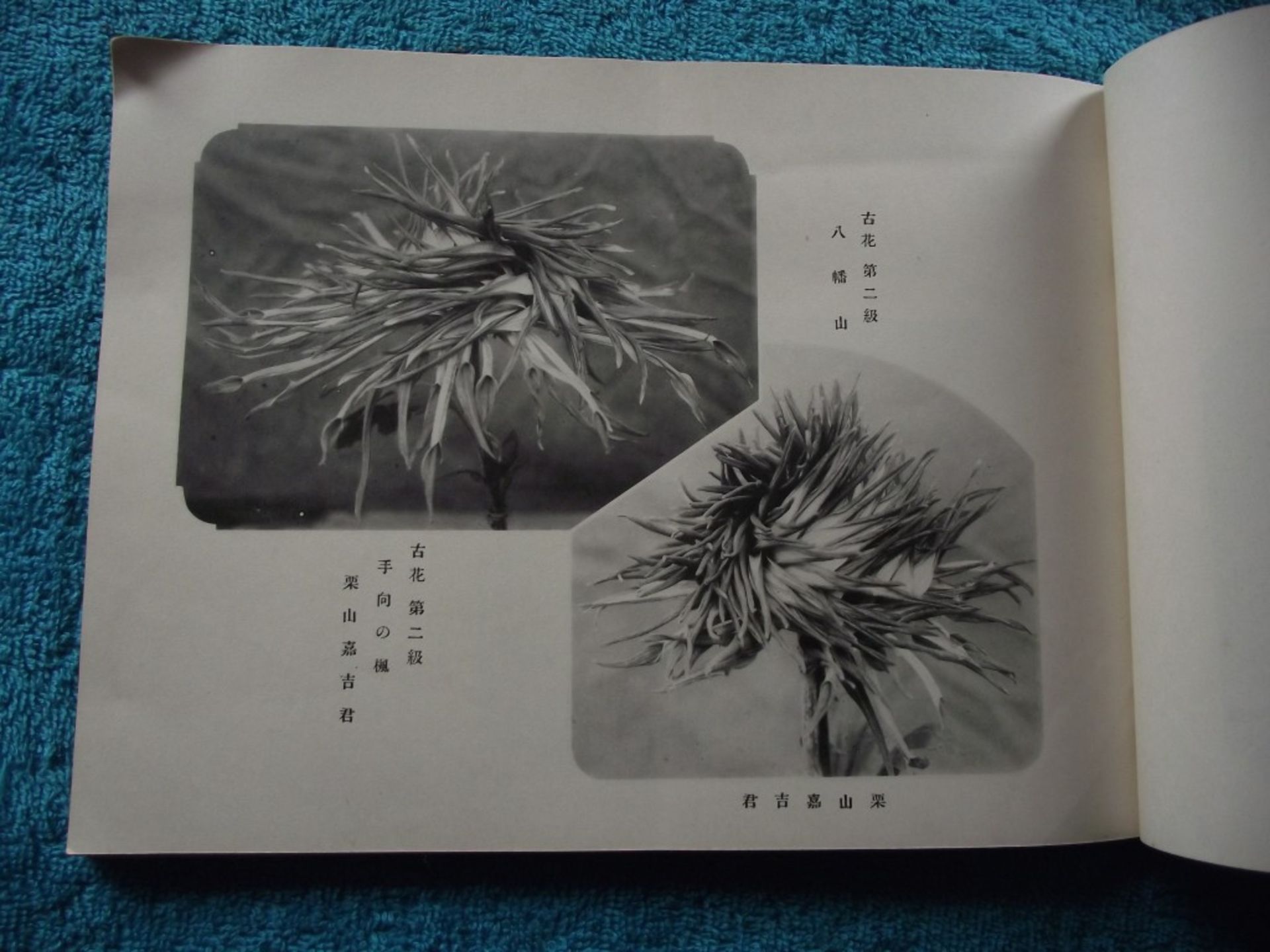 7 X Japanese Antiquarian Books & Magazines - 1902 to 1923 - Image 22 of 37