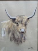 Highland Cow Portrait Aberdeen Angus Framed Painting Watercolour Signed By Artist Bel Parsons