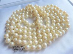 54 inch Opera Length Pearl Necklace
