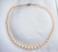 Vintage Single Strand Pearl Necklace 16 inches Silver Clasp