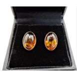 Sterling Silver Baltic Amber Stud Earrings New with Gift Pouch