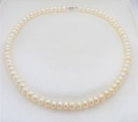 17 inch 6mm Freshwater Cultured Pearl Necklace