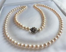 Vintage 24inch Single Strand Pearl Necklace