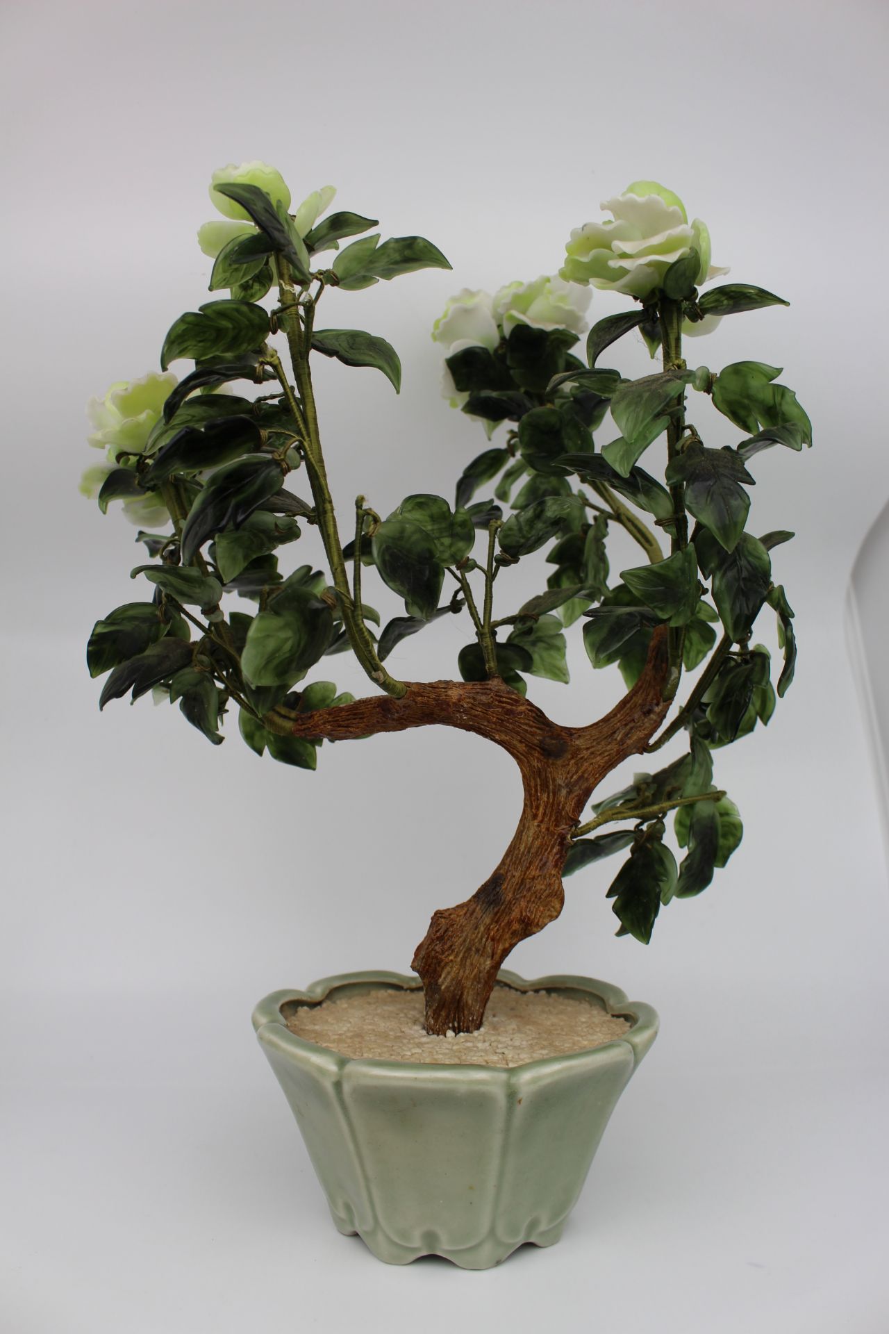 Jade Bonsai Plant - Image 3 of 5