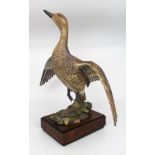 Royal Worcester American Pintail by Ronald van Ruyckevelt