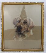 Pastel Labrador by Jeanne Rynhart (1946-2020)