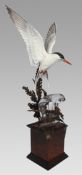 Albany Worcester David Burnham-Smith Sculpture Arctic Tern