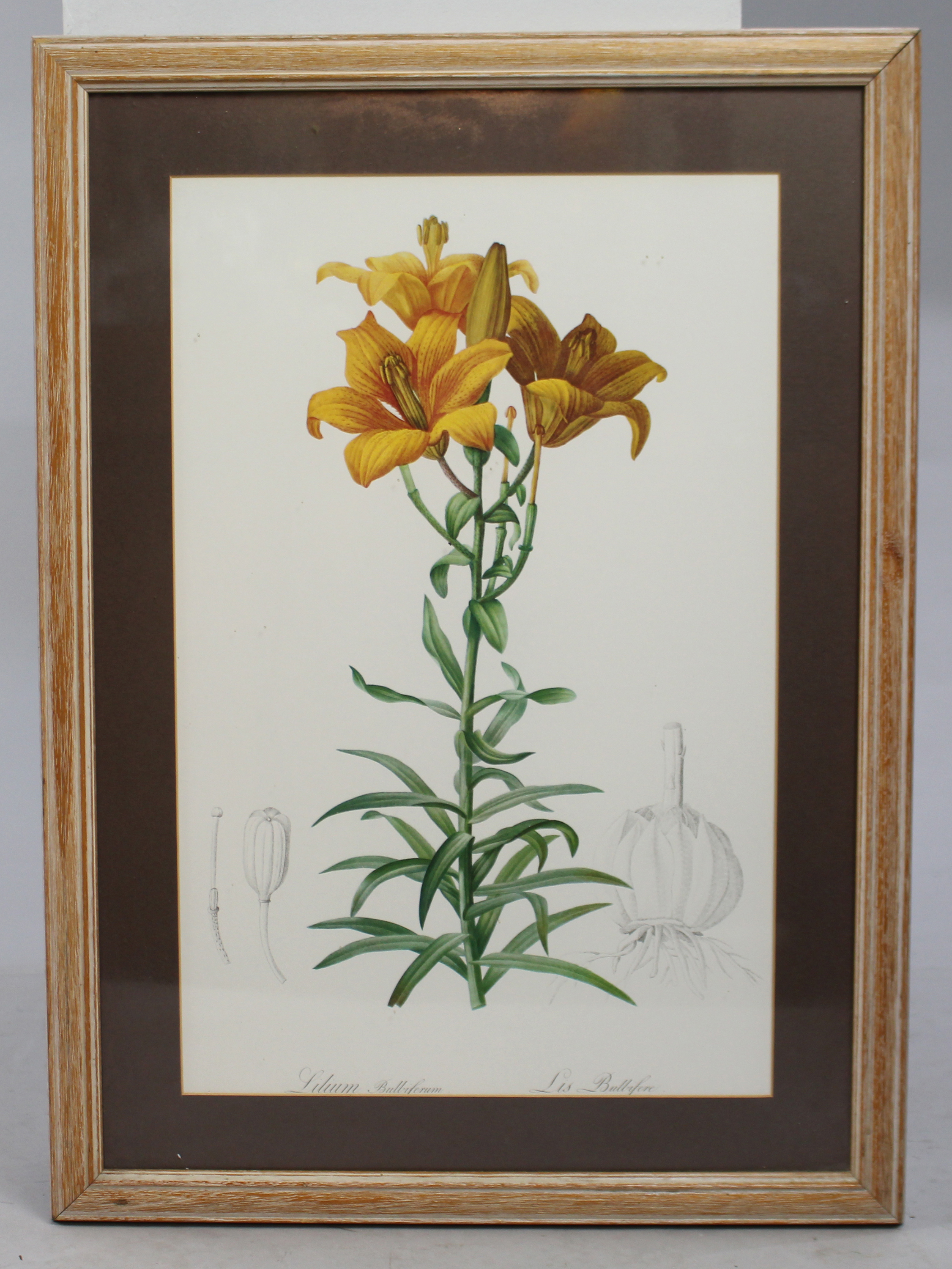 Pair of Natural History Flower Prints Set in Frames - Image 2 of 5