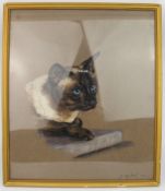 Pastel Siamese Cat by Jeanne Rynhart (1946-2020)