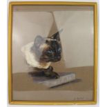 Pastel Siamese Cat by Jeanne Rynhart (1946-2020)