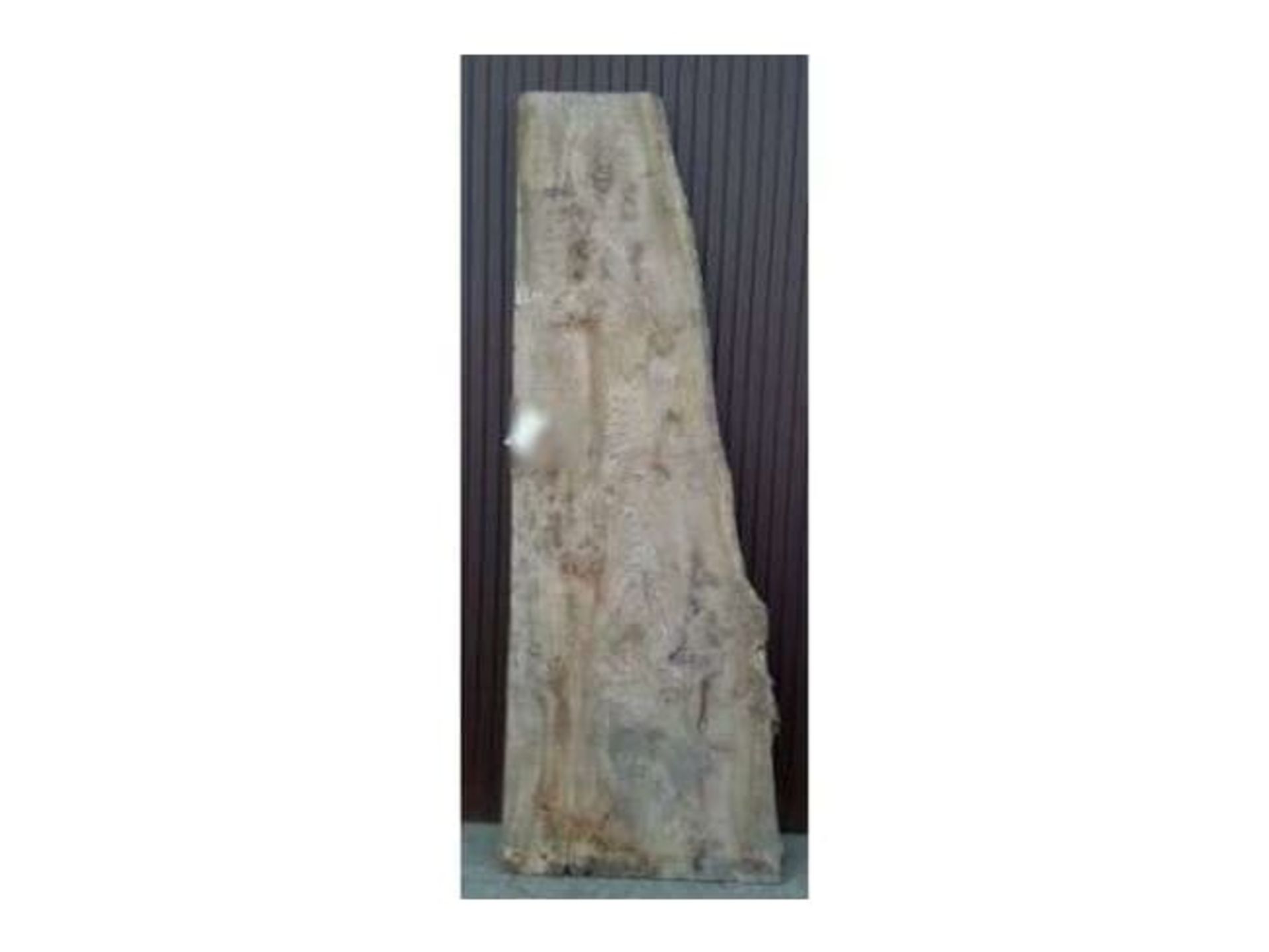 Hardwood Timber Waney Edge / Live Edge English Elm Burr Board - Image 2 of 2