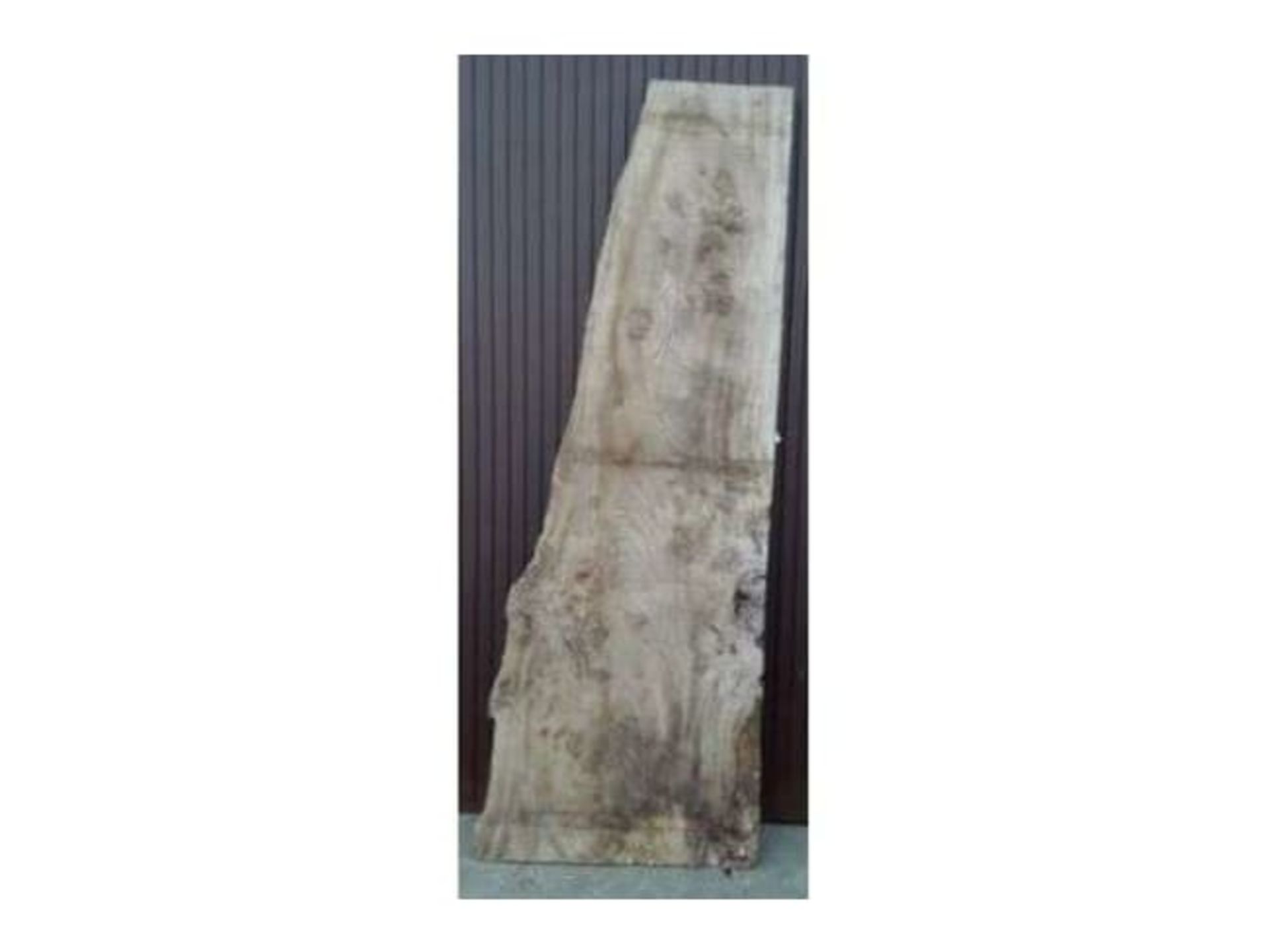 Hardwood Timber Waney Edge / Live Edge English Elm Burr Board