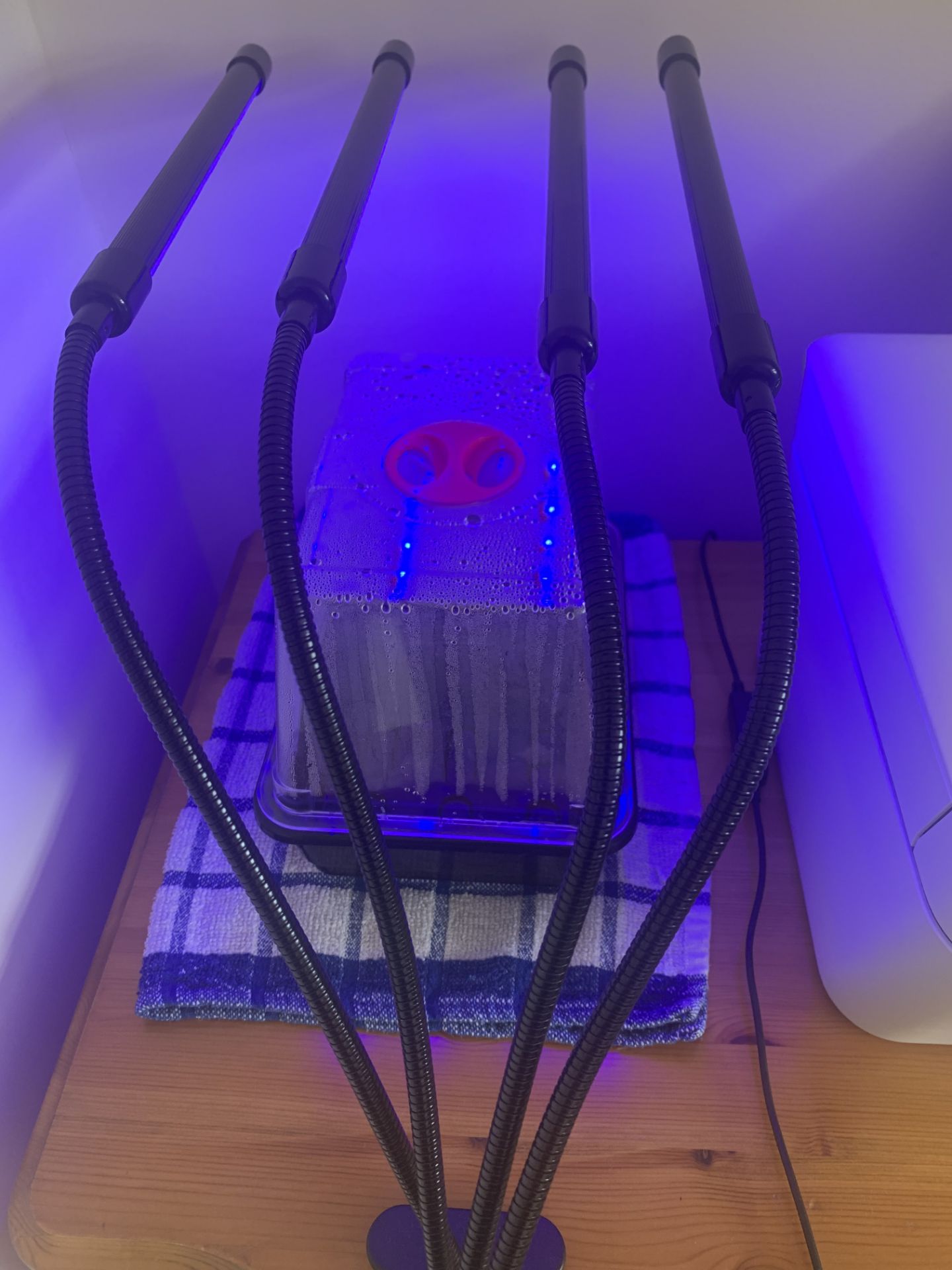 Brand New Funpa LED Grow Light - Image 2 of 10