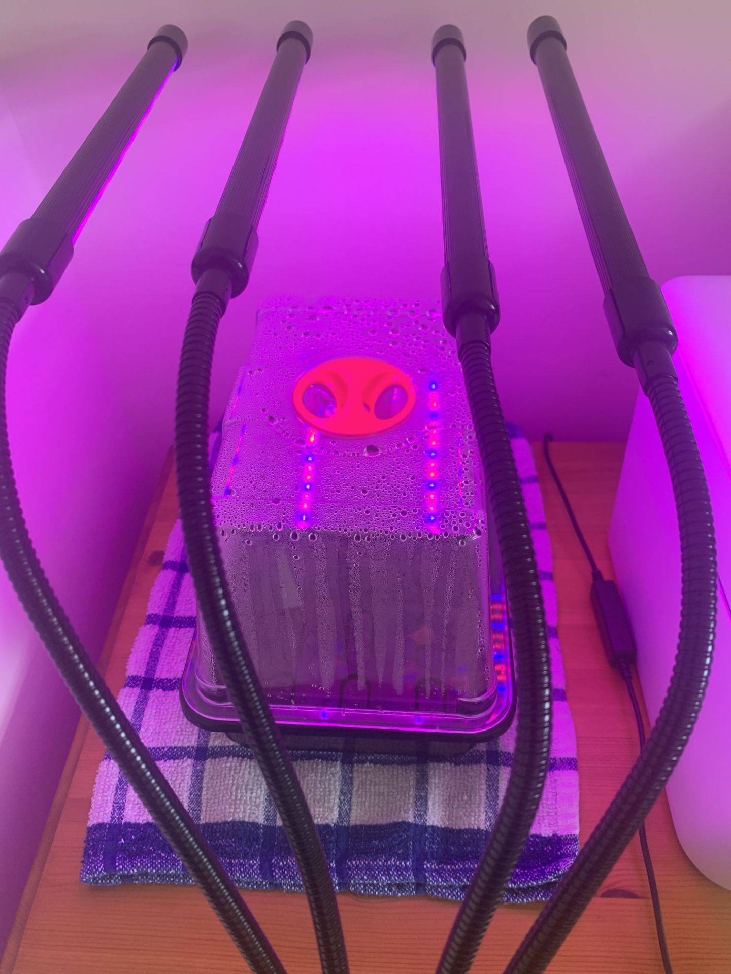 Brand New Funpa LED Grow Light - Image 4 of 10