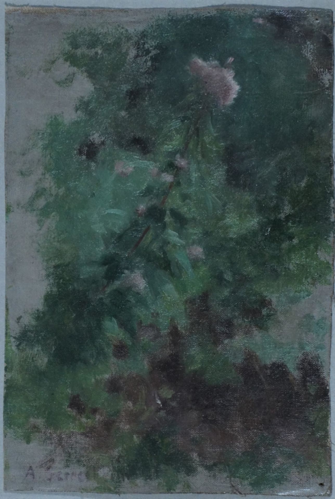 Gerresheim, Anna, Bauernrose, Öl, 17 x 11 cm, sign.